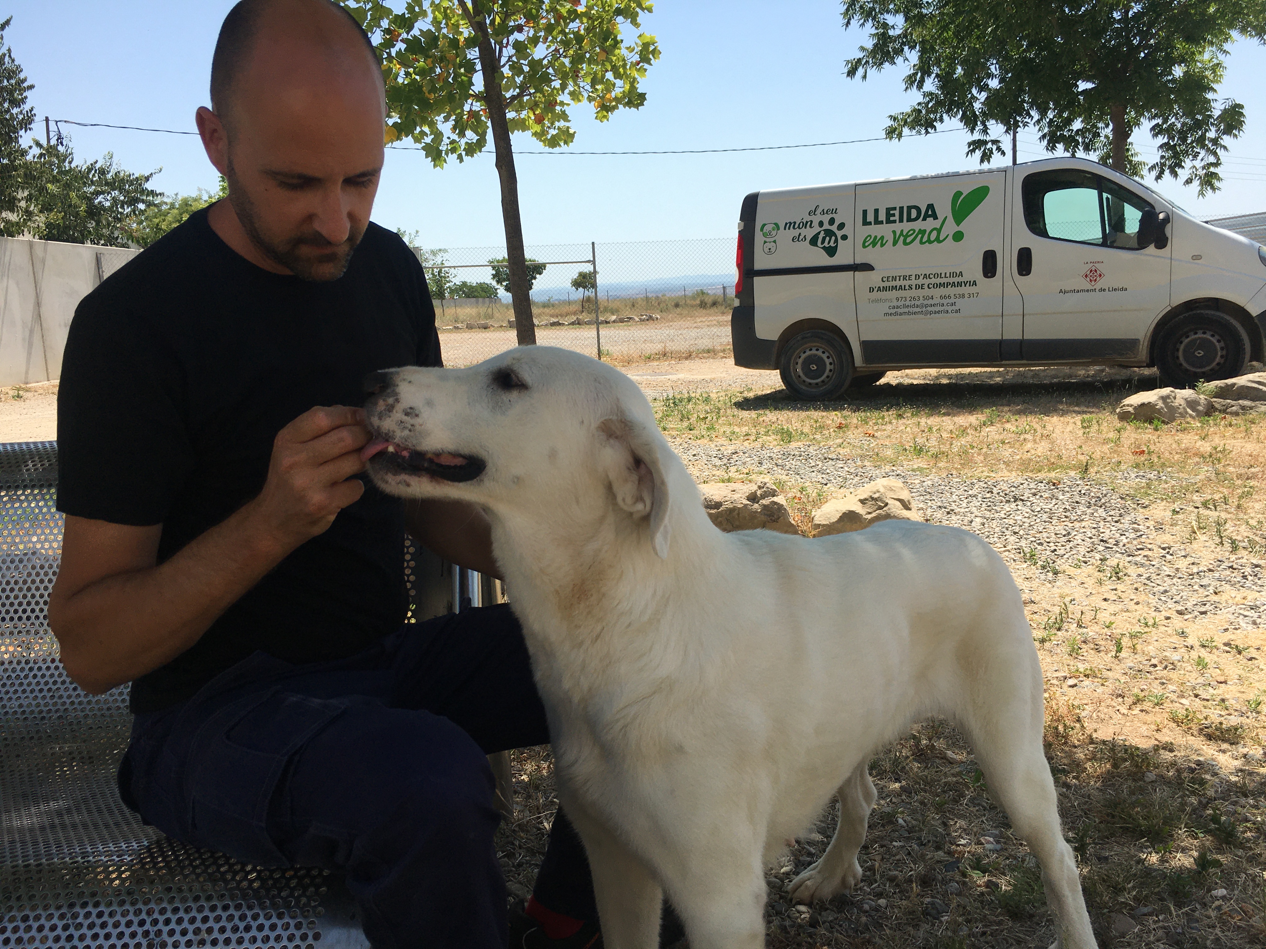 Un treballador del centre amb un dels gossos acollits al Refugi dels Peluts