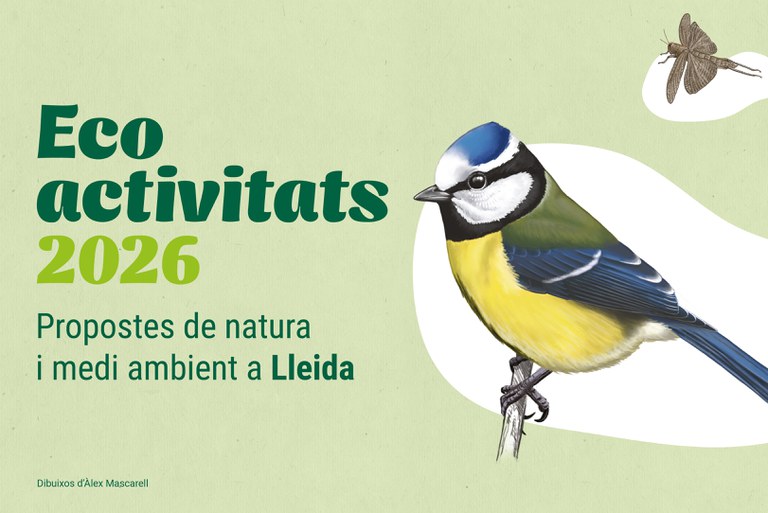 Anellament científic d'ocells als Aiguamolls de Rufea