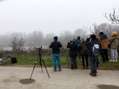 <bound method DexterityContent.Title of <Event at /fs-paeria/paeria/ca/actualitat/agenda/cens-docells-hivernants-als-espais-humits-de-lleida>>.