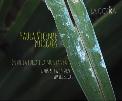 <bound method DexterityContent.Title of <Event at /fs-paeria/paeria/ca/actualitat/agenda/exposicio-entre-la-fulla-i-la-muntanya>>.