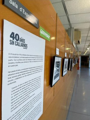 <bound method DexterityContent.Title of <Event at /fs-paeria/paeria/ca/actualitat/agenda/exposicio-greenpeace-40-anys-sense-callar-nos>>.