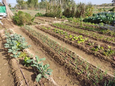 <bound method DexterityContent.Title of <Event at /fs-paeria/paeria/ca/actualitat/agenda/hort-dautoconsum-com-planificar-les-plantacions-en-funcio-de-les-necessitats>>.