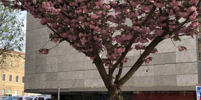 <bound method DexterityContent.Title of <Event at /fs-paeria/paeria/ca/actualitat/agenda/jornada-de-portes-obertes-i-visita-guiada-a-larxiu-historic-de-lleida>>.