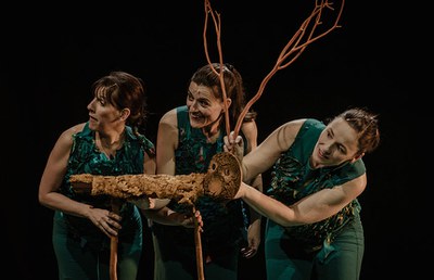 <bound method DexterityContent.Title of <Event at /fs-paeria/paeria/ca/actualitat/agenda/sotabosc>>.