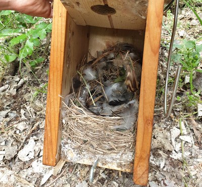 <bound method DexterityContent.Title of <Event at /fs-paeria/paeria/ca/actualitat/agenda/taller-manteniment-de-caixes-niu-al-parc-de-la-mitjana>>.