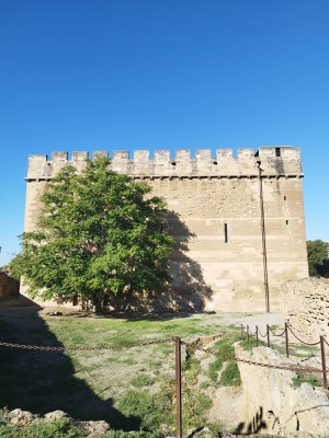 <bound method DexterityContent.Title of <Event at /fs-paeria/paeria/ca/actualitat/agenda/visita-guiada-al-castell-de-gardeny>>.