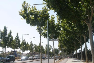 <bound method DexterityContent.Title of <NewsItem at /fs-paeria/paeria/ca/actualitat/noticies/10002>>.