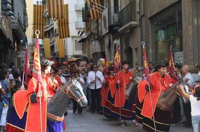 Imatge_cat_7940.jpg.