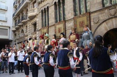 Imatge_cat_7941.jpg.