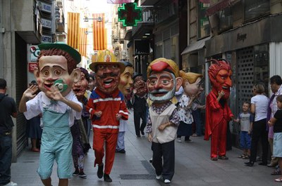 Imatge_cat_7943.jpg.