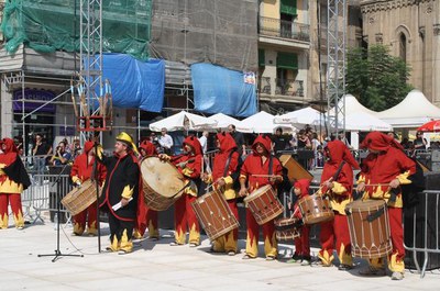 Imatge_cat_7944.jpg.