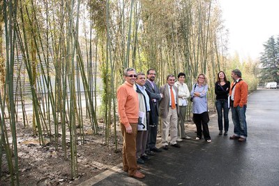 Imatge_cat_7947.jpg.