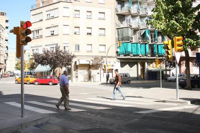 Imatge_cat_7976.jpg.