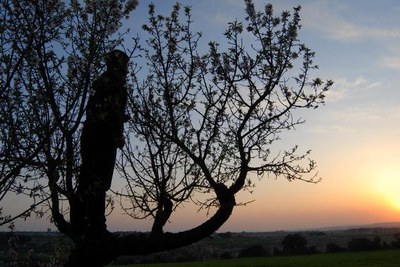 <bound method DexterityContent.Title of <NewsItem at /fs-paeria/paeria/ca/actualitat/noticies/10108>>.