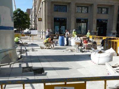 Imatge_cat_8011.JPG.