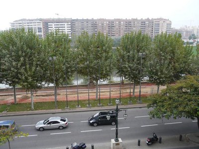 Imatge_cat_8108.JPG.