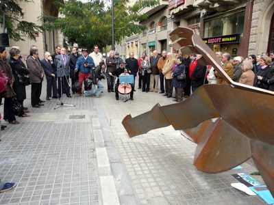 Imatge_cat_8128.JPG.