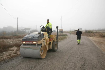 Imatge_cat_8263.jpg.