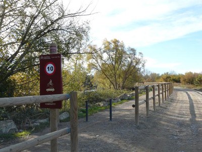 El camí d'accés als Aigüamolls, ben arreglat.