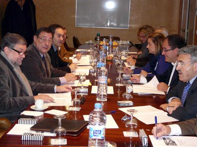 Imatge_cat_8379.JPG.