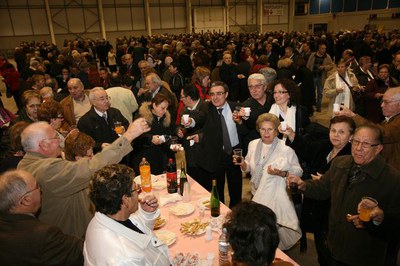 Imatge_cat_8394.jpg.