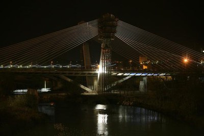 Imatge_cat_8391.jpg.