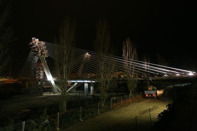 Imatge_cat_8392.jpg.