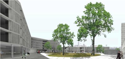 Imatge_cat_8438.JPG.