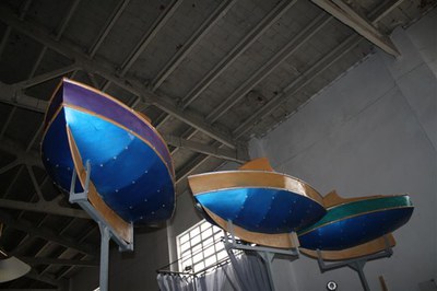 Imatge_cat_8470.jpg.