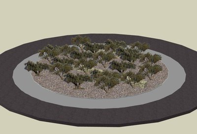 Rotonda de paisatge de secà amb oliveres.