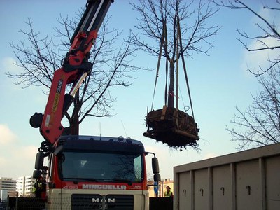 Imatge_cat_8588.JPG.