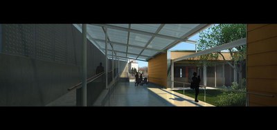 Imatge_cat_8693.JPG.