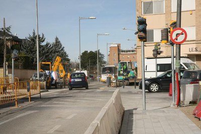 Imatge_cat_8782.JPG.