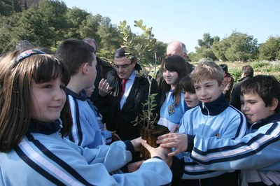 2. Els nens i nenes han plantat unes 200 heures..