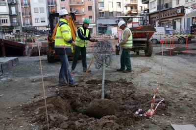 Imatge_cat_8828.JPG.