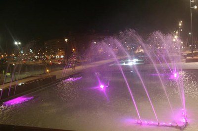 Imatge_cat_8929.jpg.