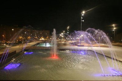 Imatge_cat_8930.jpg.