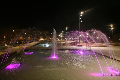 Imatge_cat_8931.jpg.