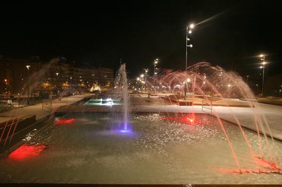 Imatge_cat_8933.jpg.