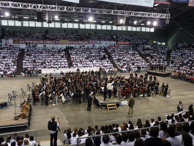 Imatge_cat_9042.JPG.