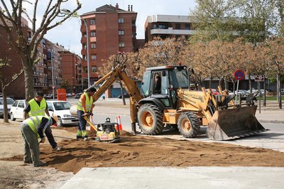 Imatge_cat_9101.JPG.