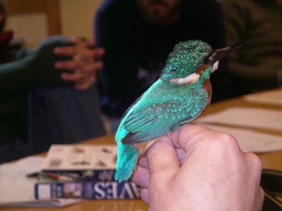 <bound method DexterityContent.Title of <NewsItem at /fs-paeria/paeria/ca/actualitat/noticies/11057>>.