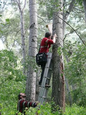 <bound method DexterityContent.Title of <NewsItem at /fs-paeria/paeria/ca/actualitat/noticies/11207>>.