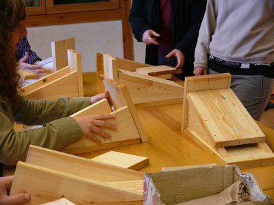 Imatge_cat_9353.JPG.