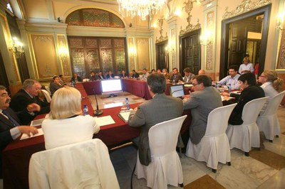 Representants de diferents entitats organismes, col·legis professionals i sindicats han participat en la reunió del CES, celebrat al saló de sessions….