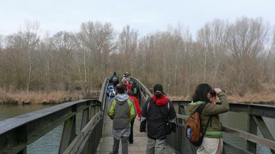 Imatge_cat_9362.JPG.