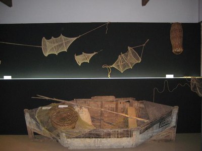 Imatge_cat_10228.jpg.