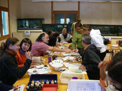 <bound method DexterityContent.Title of <NewsItem at /fs-paeria/paeria/ca/actualitat/noticies/12083>>.