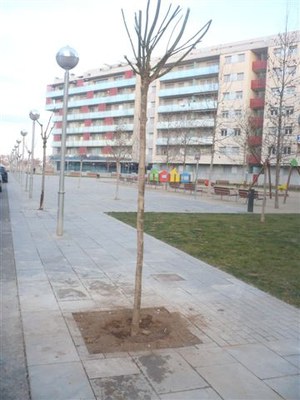 2. Al carrer dels Agustins..