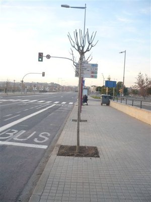 <bound method DexterityContent.Title of <NewsItem at /fs-paeria/paeria/ca/actualitat/noticies/12379>>.